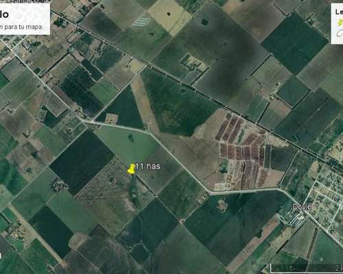 Campo en Venta de 11 Has Agrícolas en San Pedro