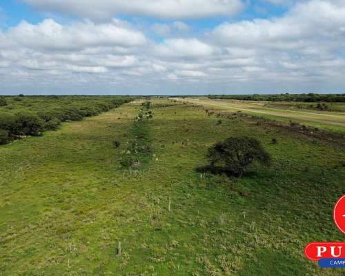 En Venta Campo Ganadero