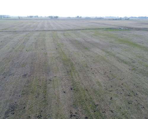 Campo en Venta en 25 de Mayo