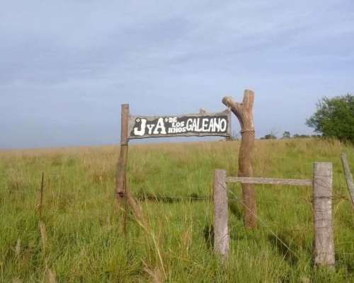 19 Hectareas de Campo en Cercanias a Esteros del Iberá