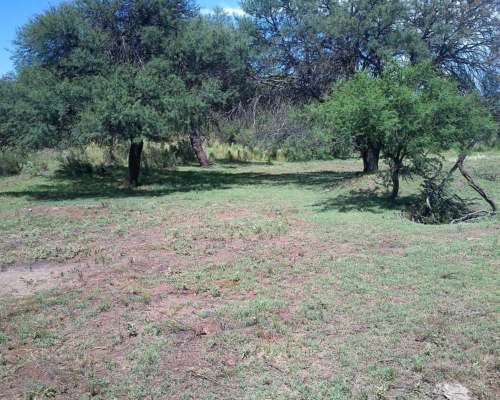 Campo 47 Ha en Renca, San Luis