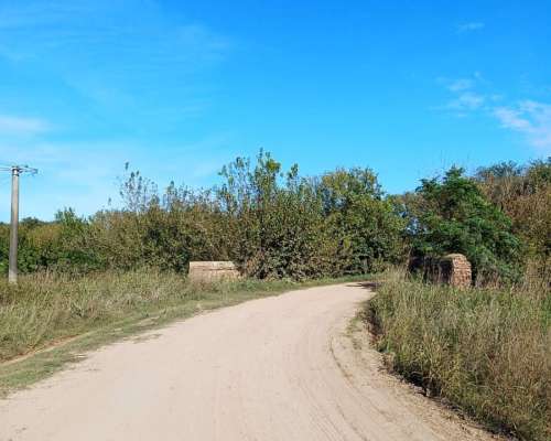 Campo 9 de Julio 880 Has