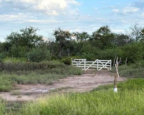 Remax Vende Campo Ganadero Sobre Ruta 34 Mailin