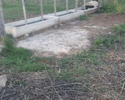 Campo en Venta – Zona Chaján 313 Hectáreas