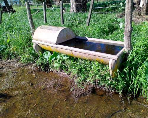 Bebederos con Flotante de Hormigon Completo 2 Unidades