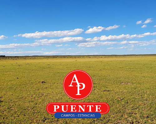 En Venta 12.500 HA. Puelén, la Pampa.