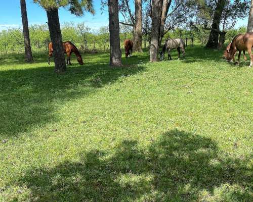 Arrendamiento Establecimiento Corrientes Zona Norte