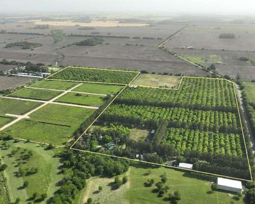 20 Has. Fracción Arbolada en Zona Urbana de Diego Gaynor