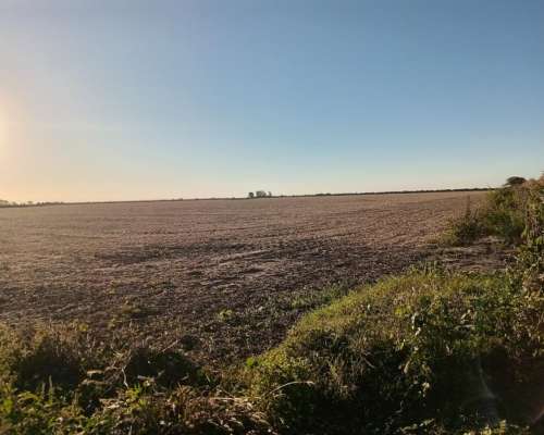37.5 Ha en Venta en Piquillín