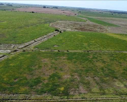 Campo Agrícola en Alquiler