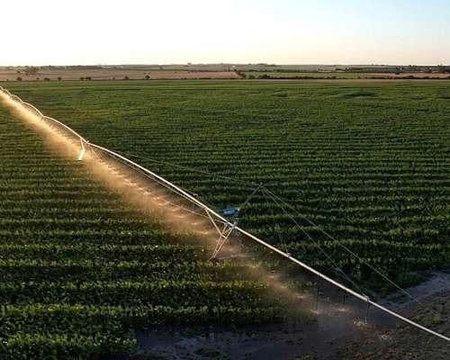 Busco Campos en Alquiler para Agricultura