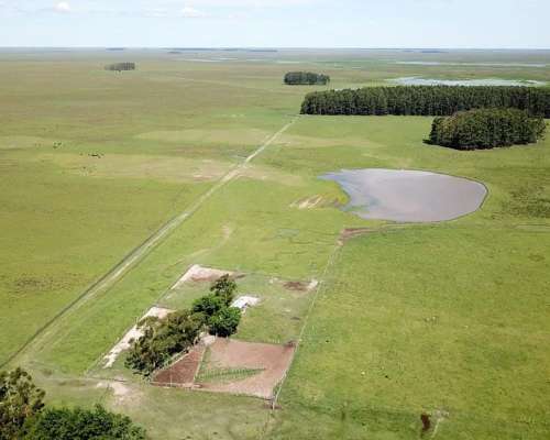 1200ha Ganaderas. Paso de los Libres, Corrientes.