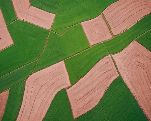 Se Realizan Servicios de Siembra