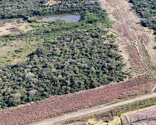 Vendo Lote de 30 Hectáreas Sobre RN 95 Sáenz Peña Chaco