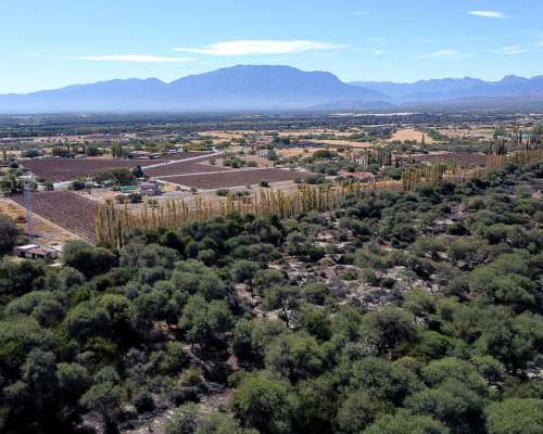 Campo de 77 Has en Venta Junto a Estancias