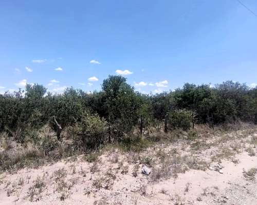 Venta de Campo en San Luis, 56 HA, con LUZ y Agua.