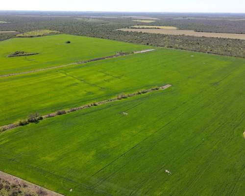420 Hectáreas Mixtas (215 Has Agrícolas). Villaguay.