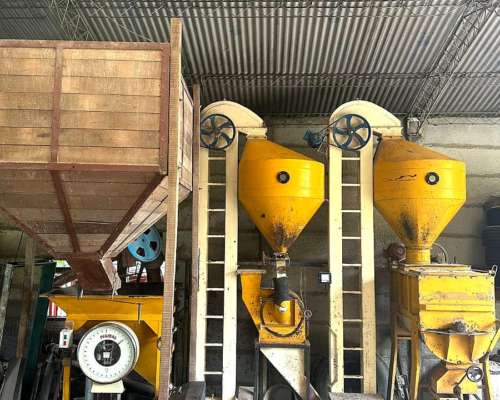 Planta para Alimento Balanceado