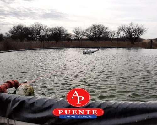 En Venta 3100 HA. Victorica, la Pampa