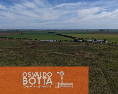 Campo Mixto en Venta, 800has en Coronel Dorrego, BS AS