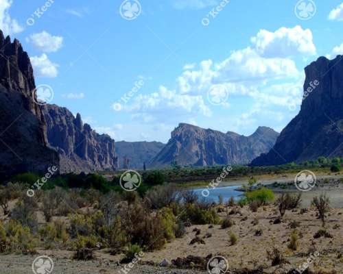 Campo en Venta 9000 Has en Esquel, Chubut. Ganadero.