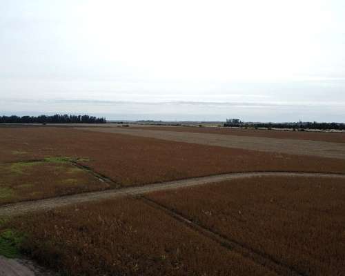 107 Has o 77 y 1/2 en Miramar - de Lujo -