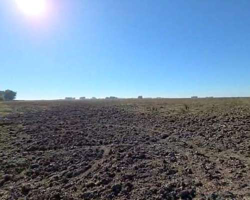 Campo en Venta Poblet