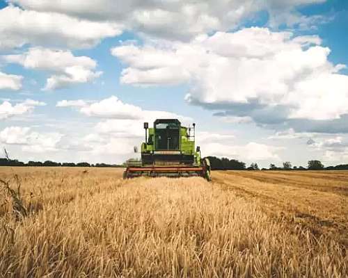 Pampayasta 90 Hectareas Agricolas con Renta Hasta Julio 26