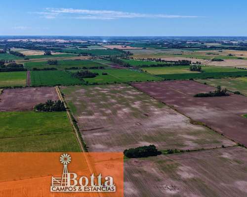 24has en Venta en Carlos Keen, 100% Agrícolas