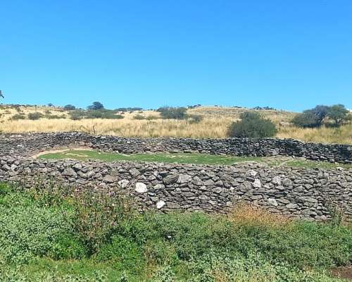 Campo Ganadero en Catamarca el Taco Ancasti