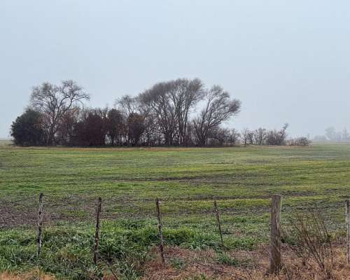 Campo en Venta en Junin 75ha