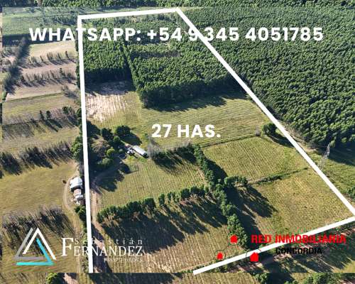 27 Has, con Mejoras y Forestación