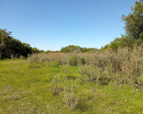 Campo Ganadero 140 HA. María Grande. Solo Interesados