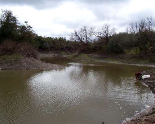 Campo Mixto de Gran Escala en Federal, Entre Ríos