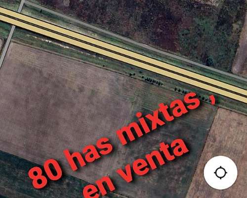 Vendo 80 Has Ganaderas Armadas
