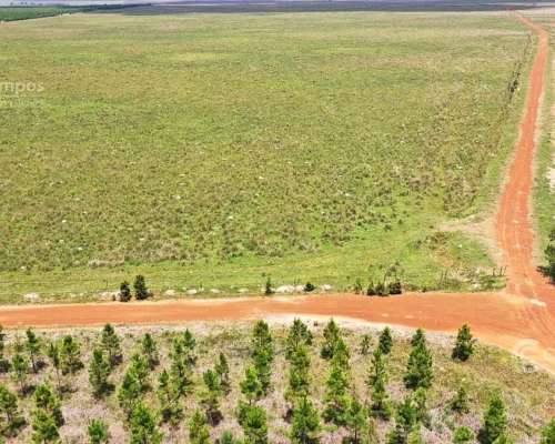Se Vende Campo Ganadero de 505 Ha en Virasoro, Corrientes