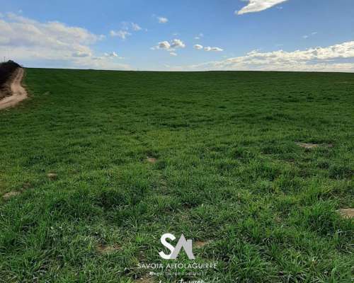 Vende: Campo Ganadero de 2010 Hectáreas en General Acha, DEP