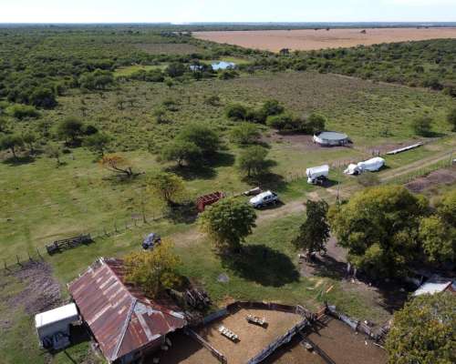594 Has muy Buen Campo Ganadero en Venta Dpto. Federal