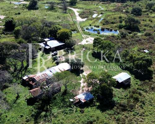 Campo Mixto Equipado - 2800 Has en General San Martin