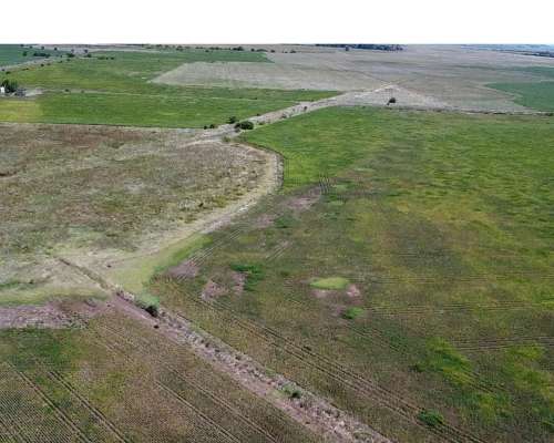 Campo Agrícola en Alquiler