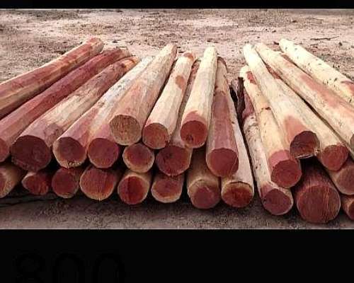 Postes Itin Quebracho Colorado