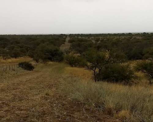 Se Vende Coto de Caza de 1435 Has en la Pampa