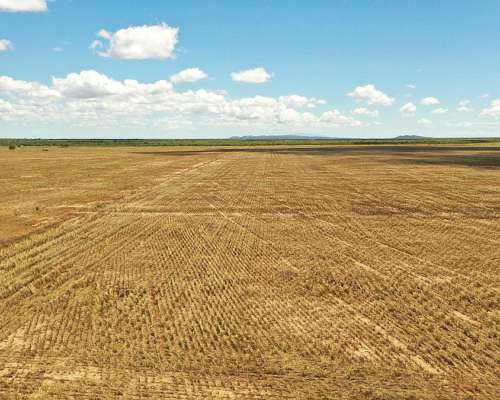 Jarilla, Capital, San Luis, Argentina