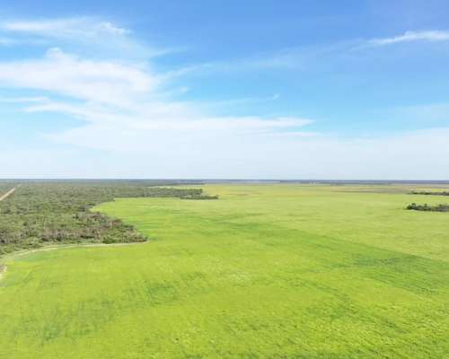 Chaco Frentones 630 Has