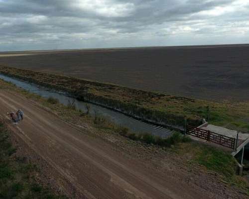 Alquilo 3000 Ha o Fracción Tostado Camino a Bandera Excelen