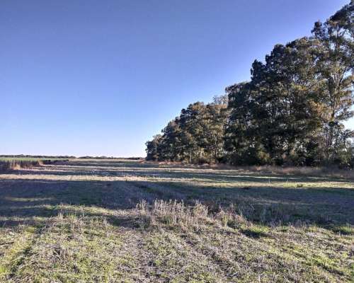 Particular Ofrece en Alquiler Campo Ganadero