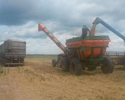 Vendo Campo Agrícola Alfalfero