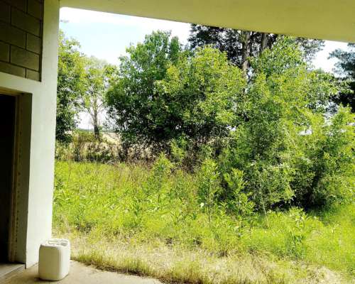 Campo Mixto Excelente Oportunidad