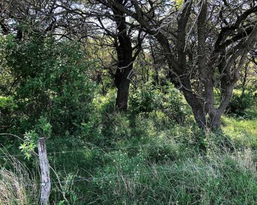 701 Ha Mixtas en Villaguay