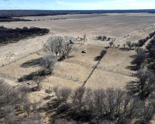 Venta 6500 Ha en Anchorena , San Luis